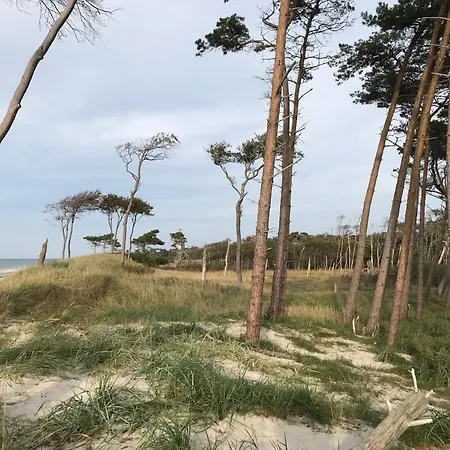 Holiday home Ostsee Pruchten