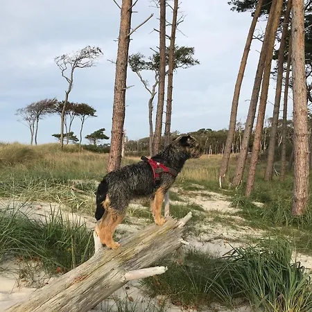 Ostsee Dom wakacyjny Pruchten