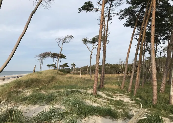 度假居 Ostsee Pruchten